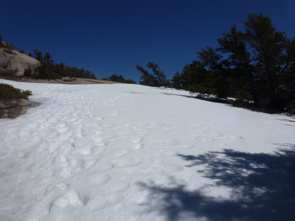 Day Hiking On Welch Dickey Mountains