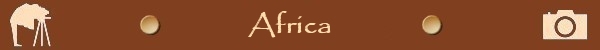 africa