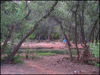 Havasu Falls Campground