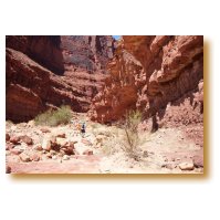 Picture of the hikers entering North Canyon.