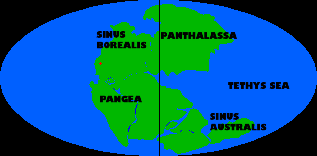 continental drift stages