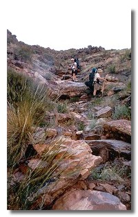 Climbing up and over to bypass the falls in Phantom Creek