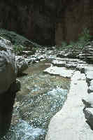 Slickrock benches in lower Kanab